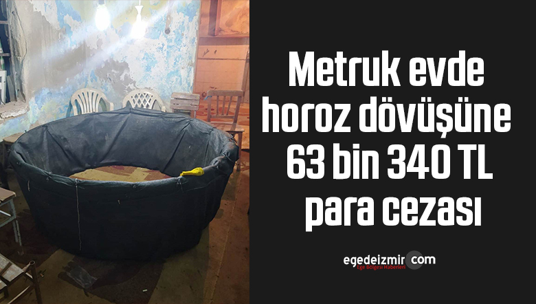 horoz