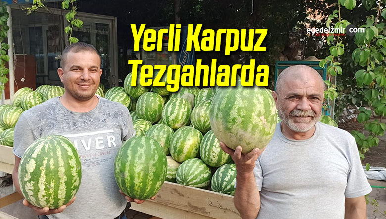 karpuz