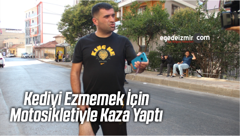 kediyi
