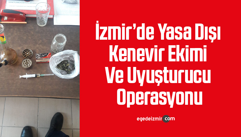 kenevir