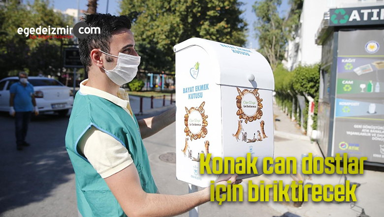 Bayat Ekmek Kutusu