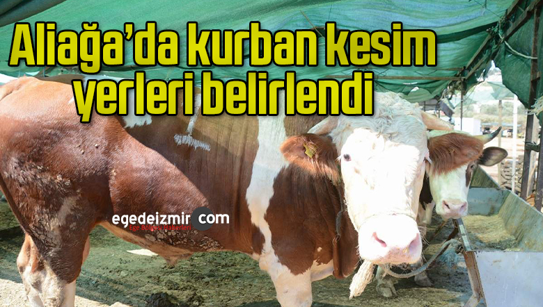 Kurban Hizmetleri