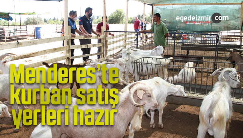 denetim ve dezenfeksiyon