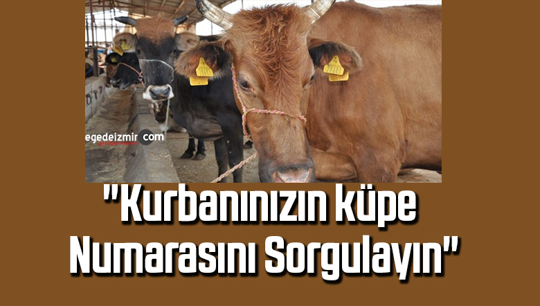 küpe