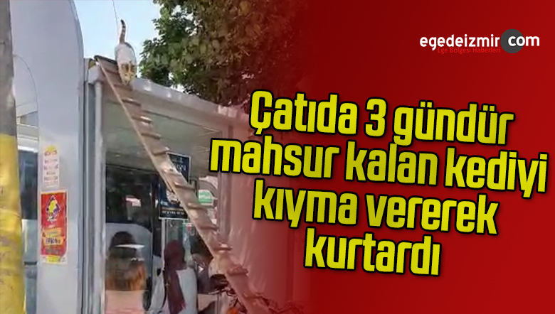 kıyma