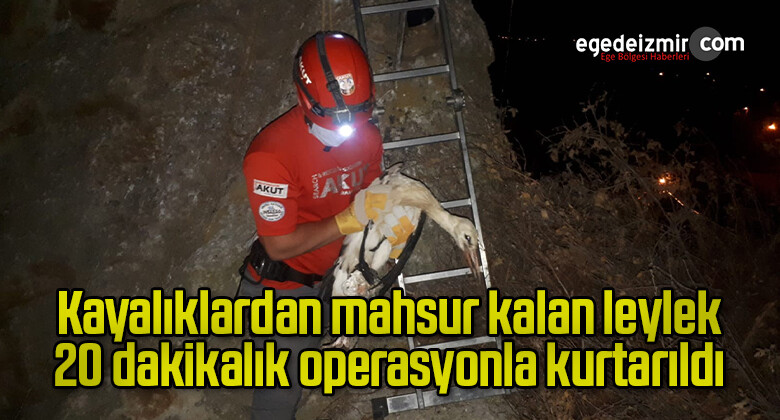 Kayalıklardan mahsur kalan leylek 20 dakikalık operasyonla kurtarıldı