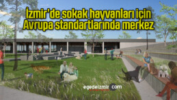 İzmir’de sokak hayvanları için Avrupa standartlarında merkez