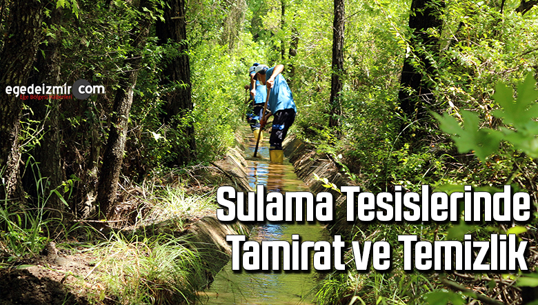 tamir