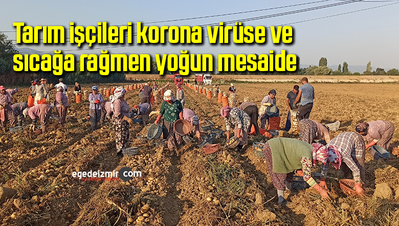 tarım