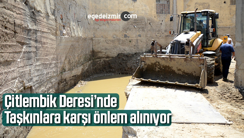 taşkın