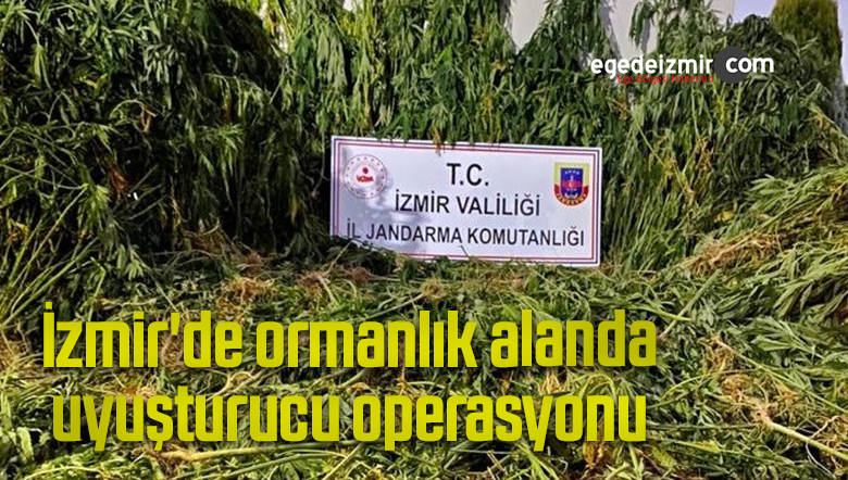 2 bin 38 kök
