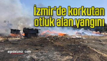 İzmir’de korkutan otluk alan yangını
