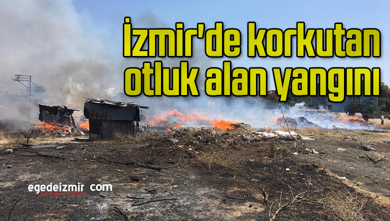 İzmir’de korkutan otluk alan yangını