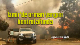 İzmir’de orman yangını kontrol altında