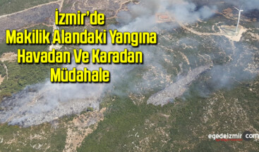 İzmir’de makilik alandaki yangına havadan ve karadan müdahale