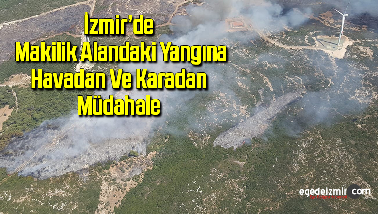 MAKİLİK