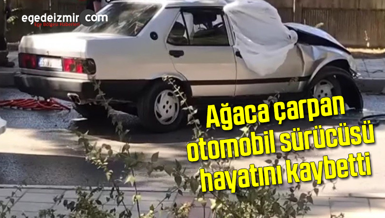 ağaç