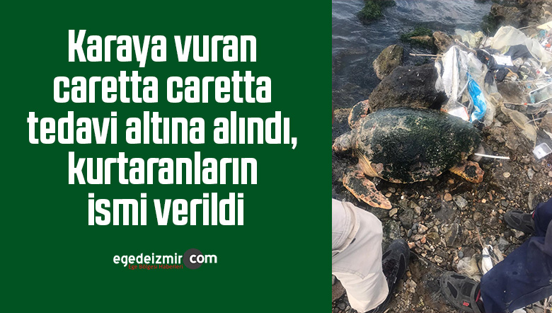 kıyı
