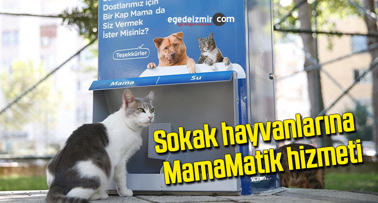 Sokak hayvanlarına MamaMatik hizmeti