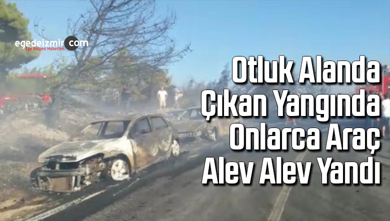 otluk
