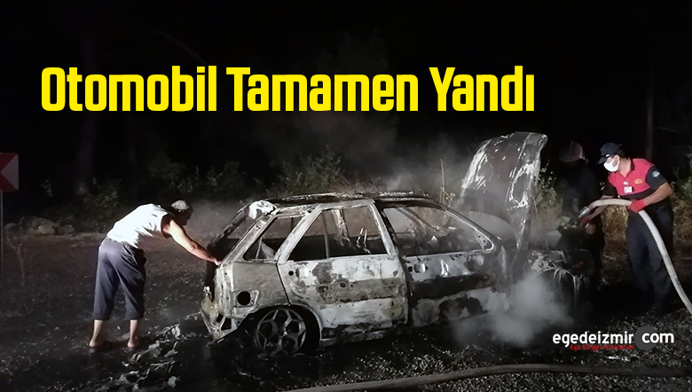 yanfı