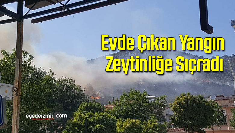 yangın