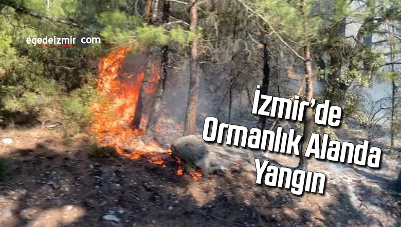 yangın