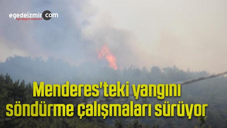 orman yangınını