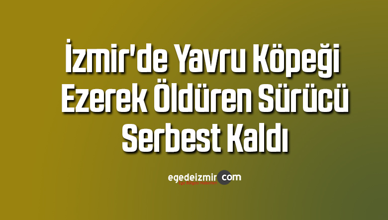 yavru