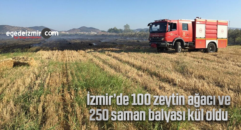 İzmir’de 100 zeytin ağacı ve 250 saman balyası kül oldu