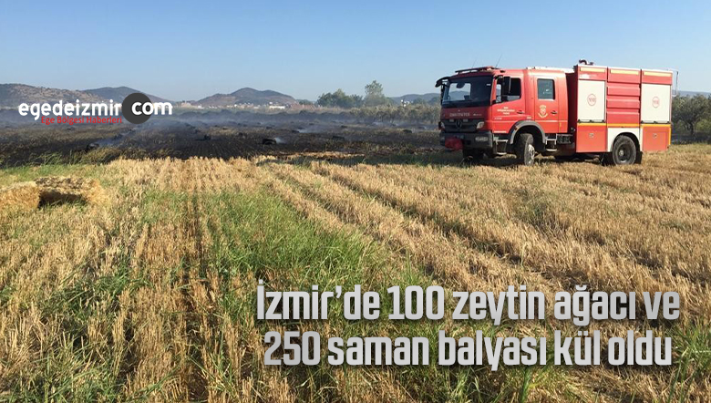 kül oldu
