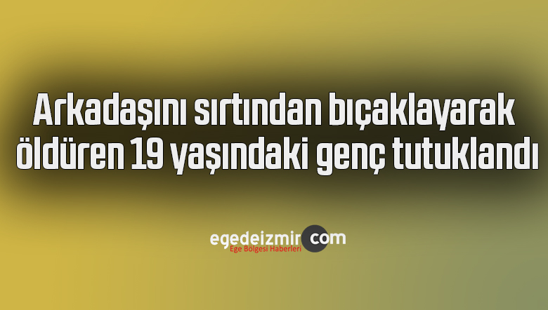 19