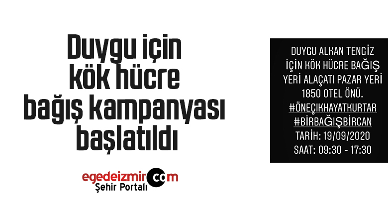 duygu