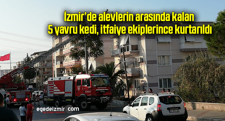 İzmir’de alevlerin arasında kalan 5 yavru kedi, itfaiye ekiplerince kurtarıldı