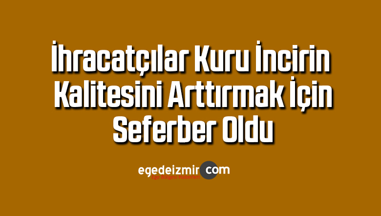 kuru incir