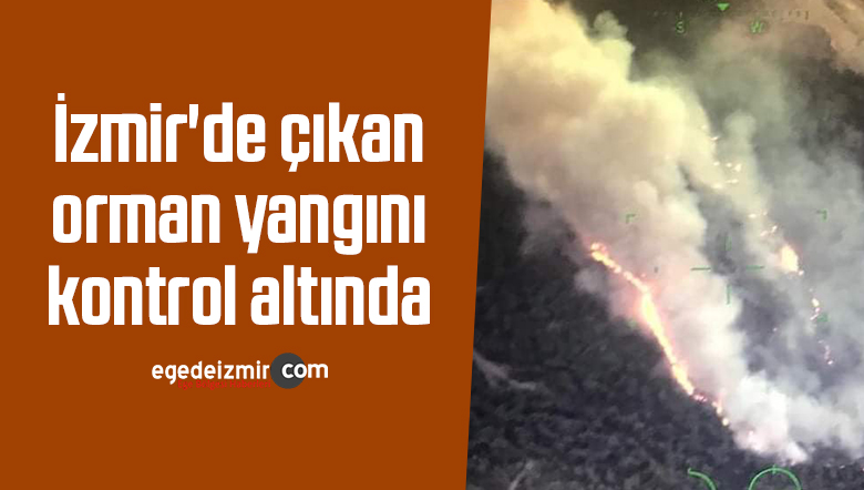 orman yangını
