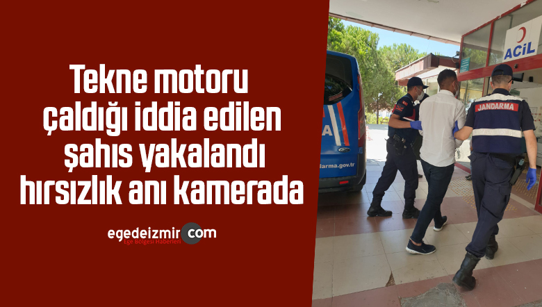 tekne