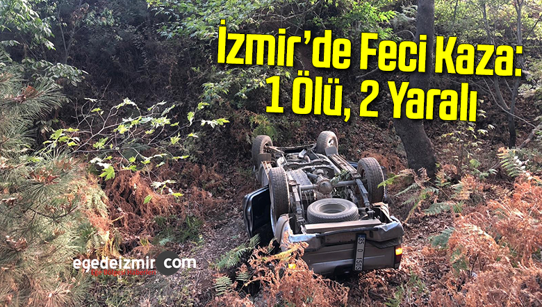 trafik kazası