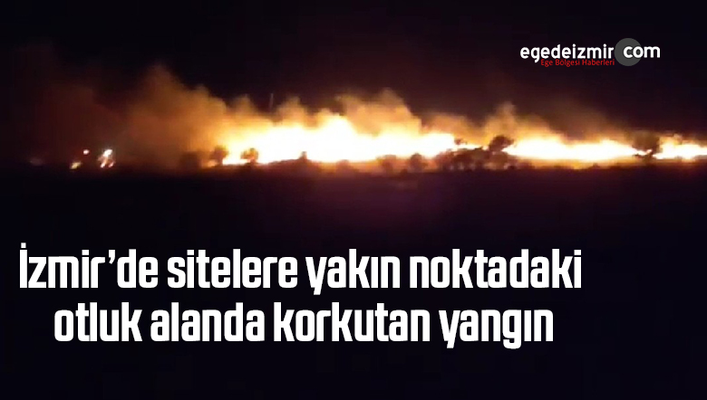 yangın