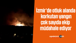 İzmir’de otluk alanda korkutan yangın, çok sayıda ekip müdahale ediyor