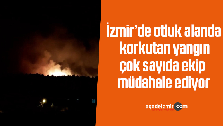 yangın
