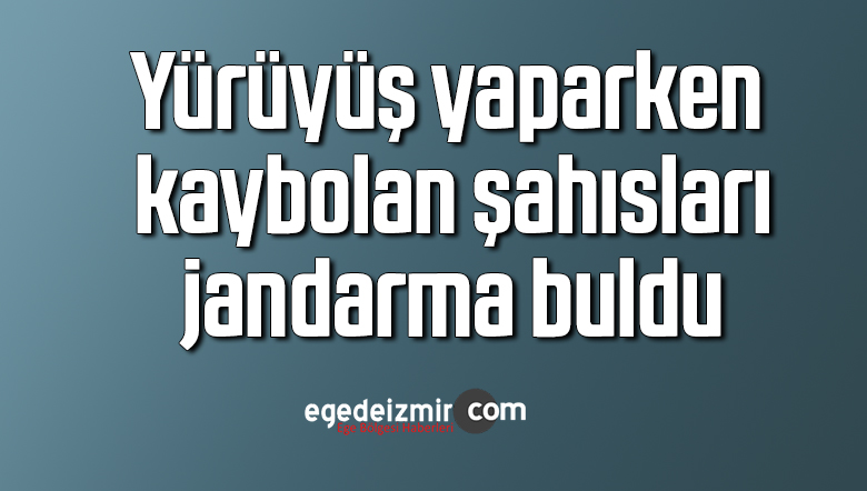 yürüyüş