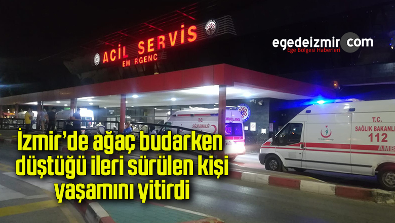 ağac