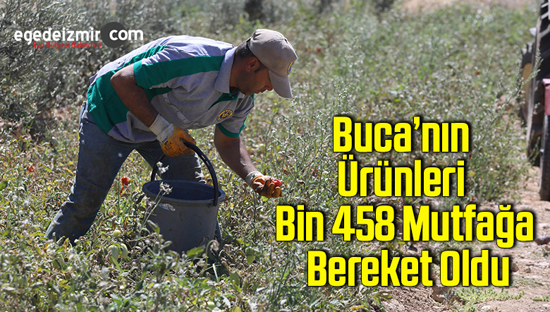 bereket