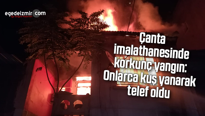 çanta