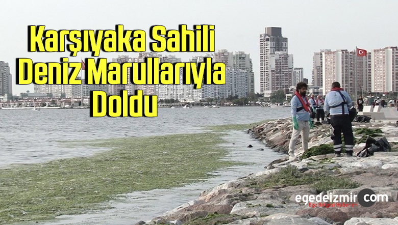 deniz