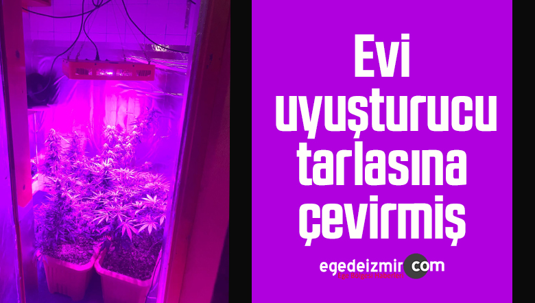 ev