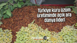 Türkiye kuru üzüm üretiminde açık ara dünya lideri