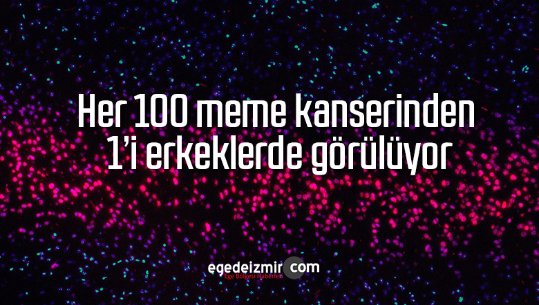 meme kanseri