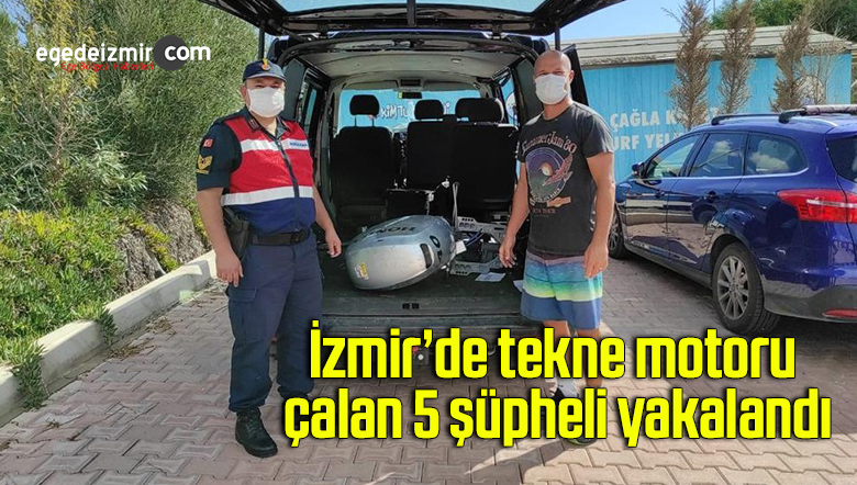 tekne motoru
